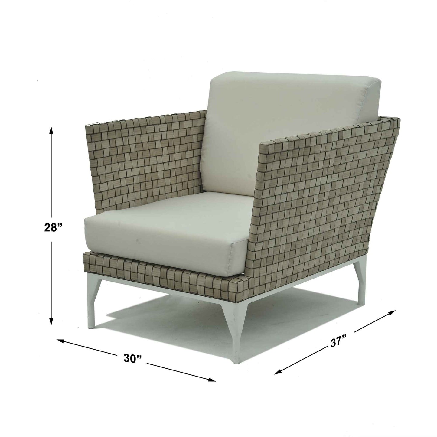 Brafta Armchair with Sunbrella Cushion
